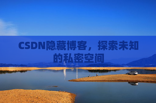 CSDN隐藏博客，探索未知的私密空间